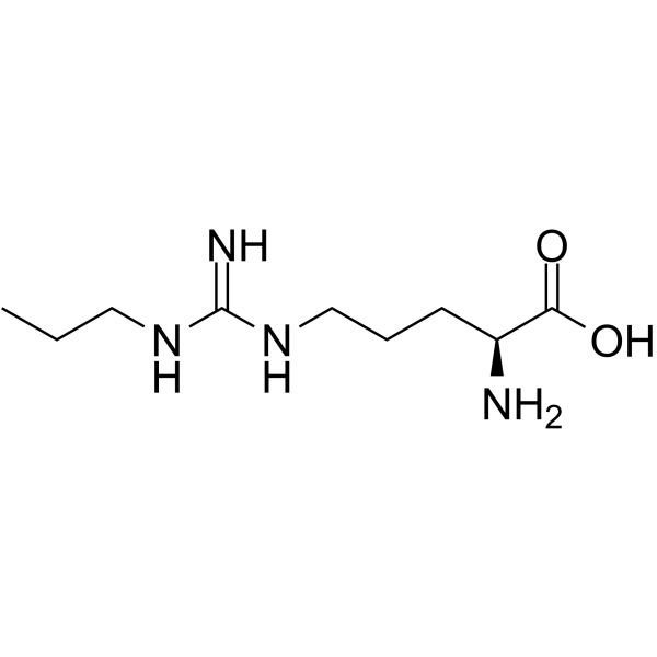 Nω-Propyl-L-arginine (N-omega-Propyl-L-arginine) 137361-05-8